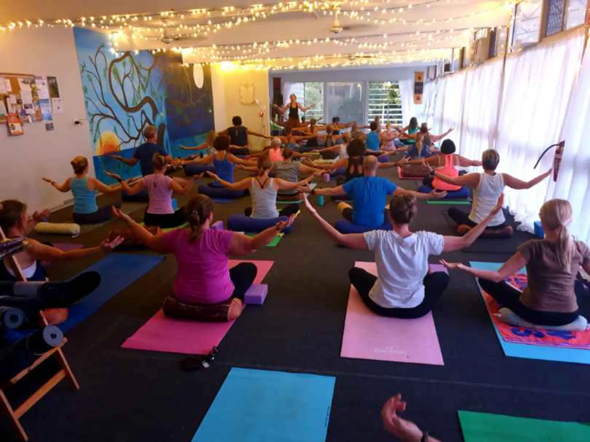 Ocean Tree Yoga Studio