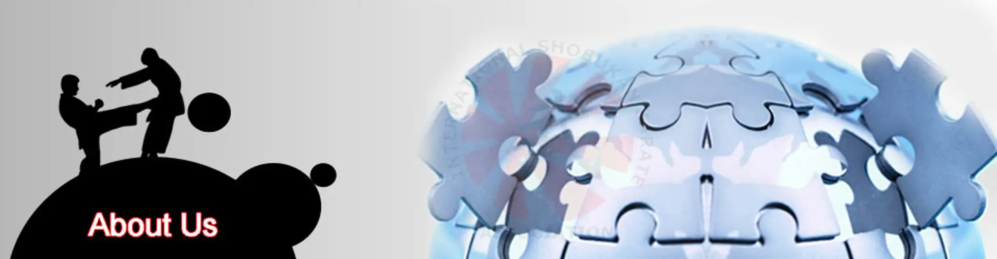 Karate Coaching Class