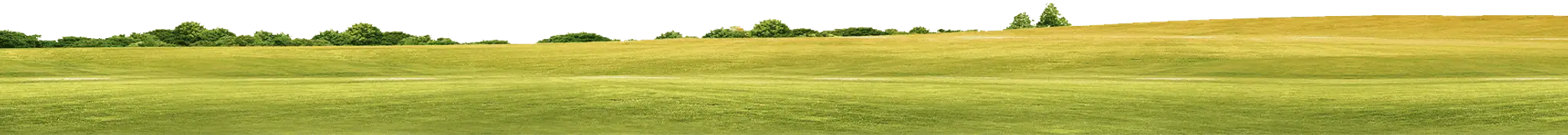 Golfclub Soufflenheim Baden-Baden