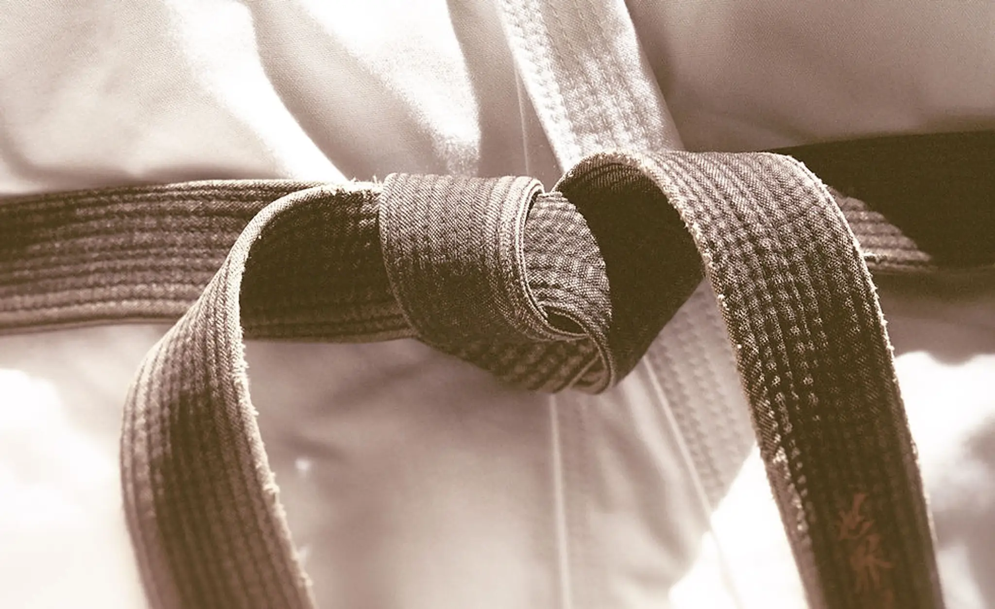 Willenhall Black Belt Academy - Sakura Karate Association