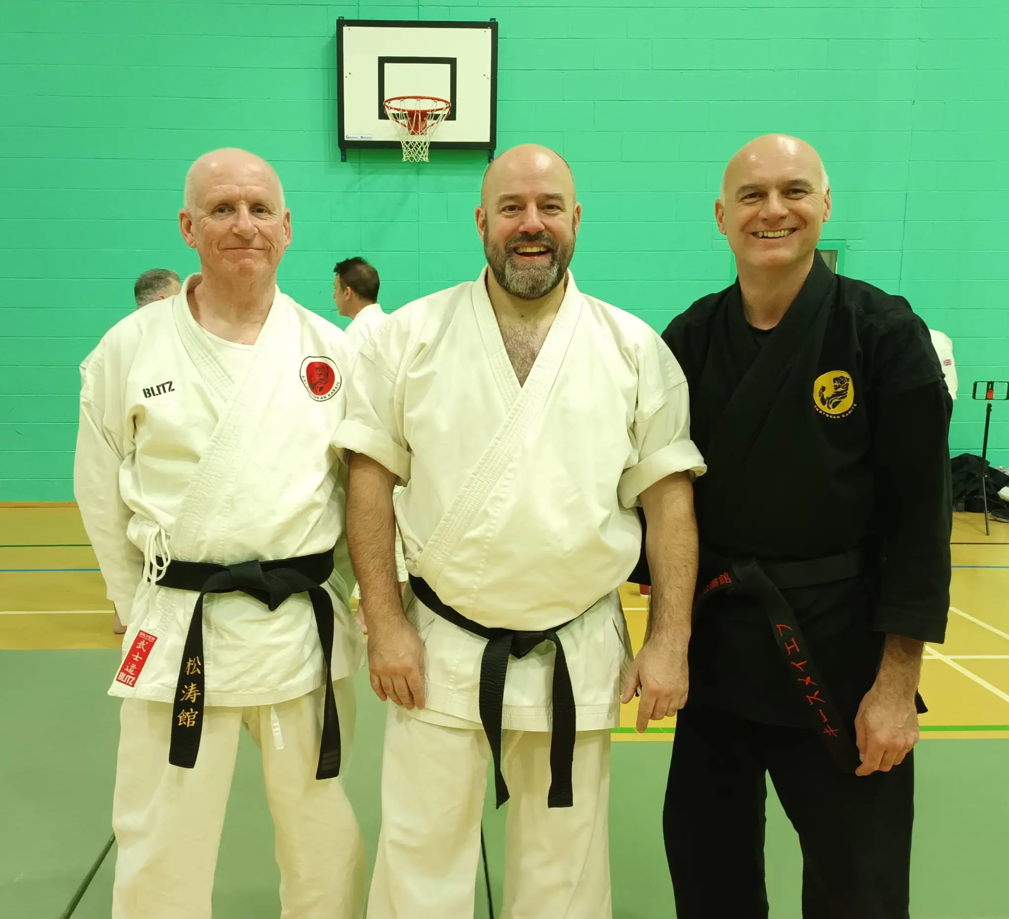 Aiki Shotokan Virtual dojo