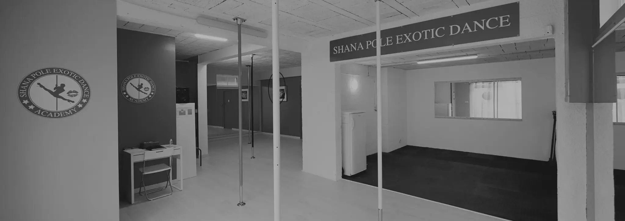 Shana Pole Exotic Dance