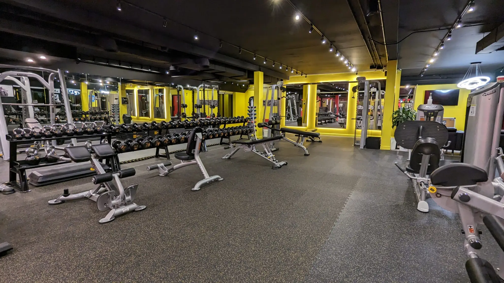 Cowboy Fitness North York