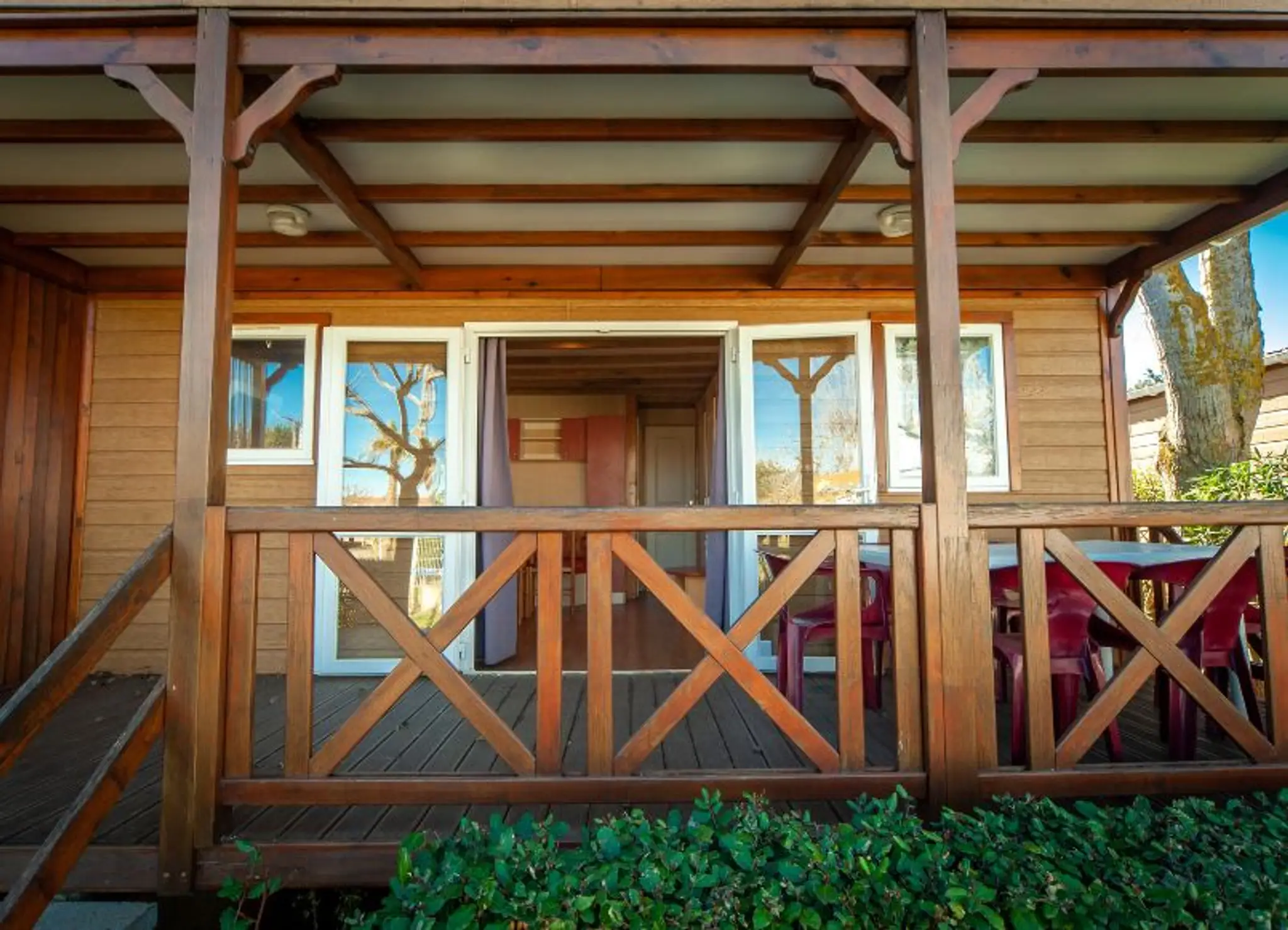 The edge of the wood***