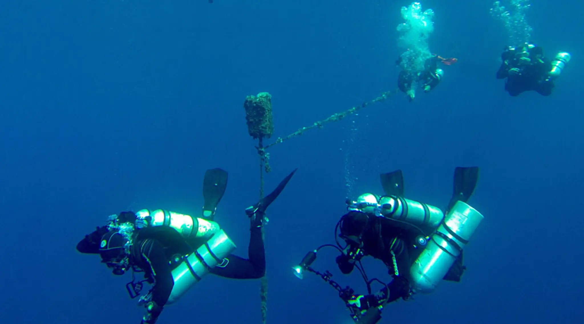 Sydney Dive Charters