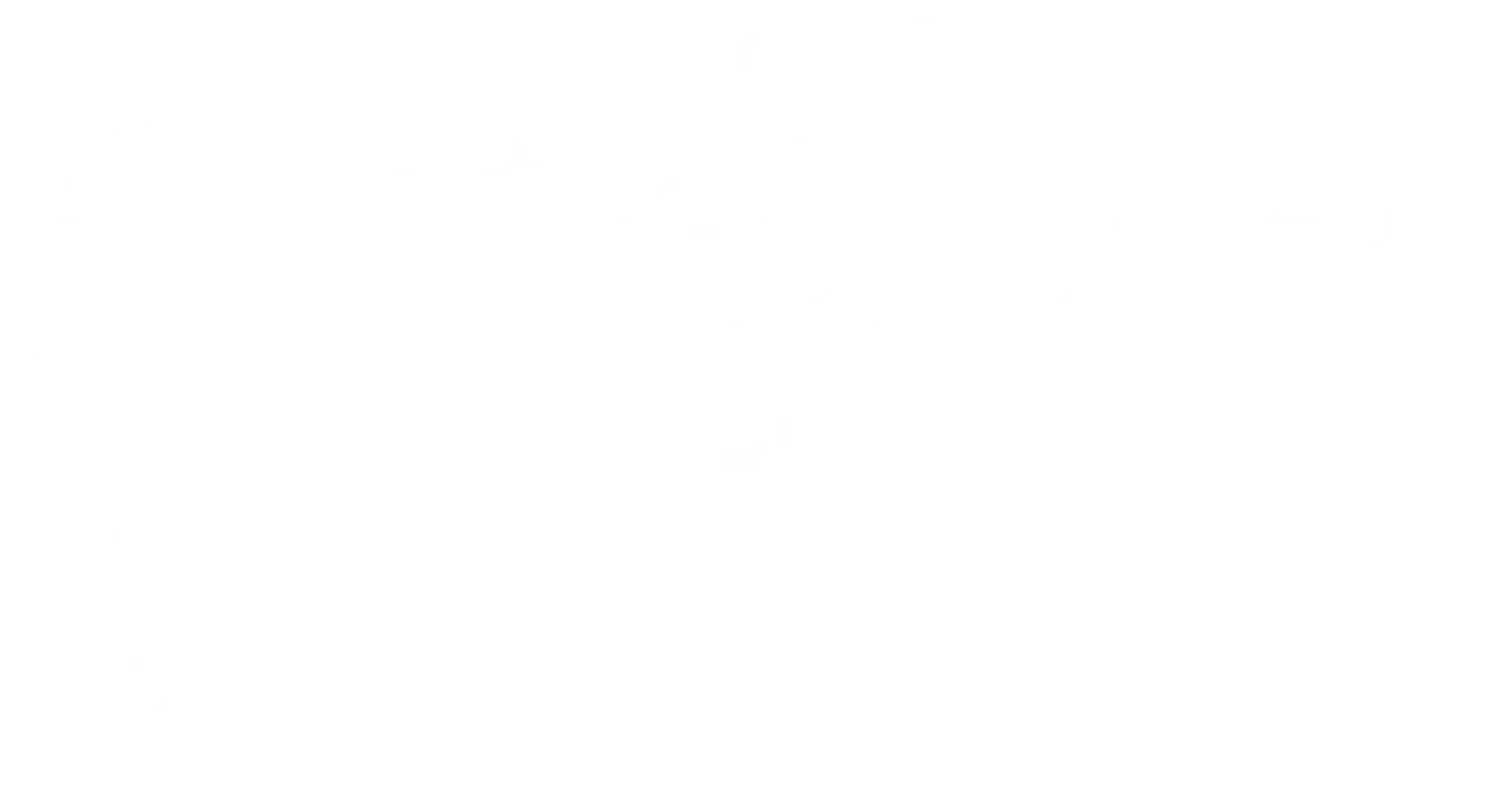 Traditional Kung Fu Training Centre