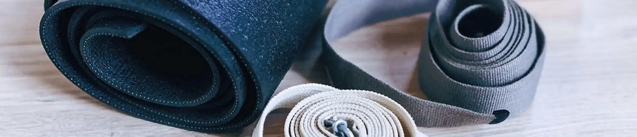 Vibrant Bodies, Essentrics and Yoga