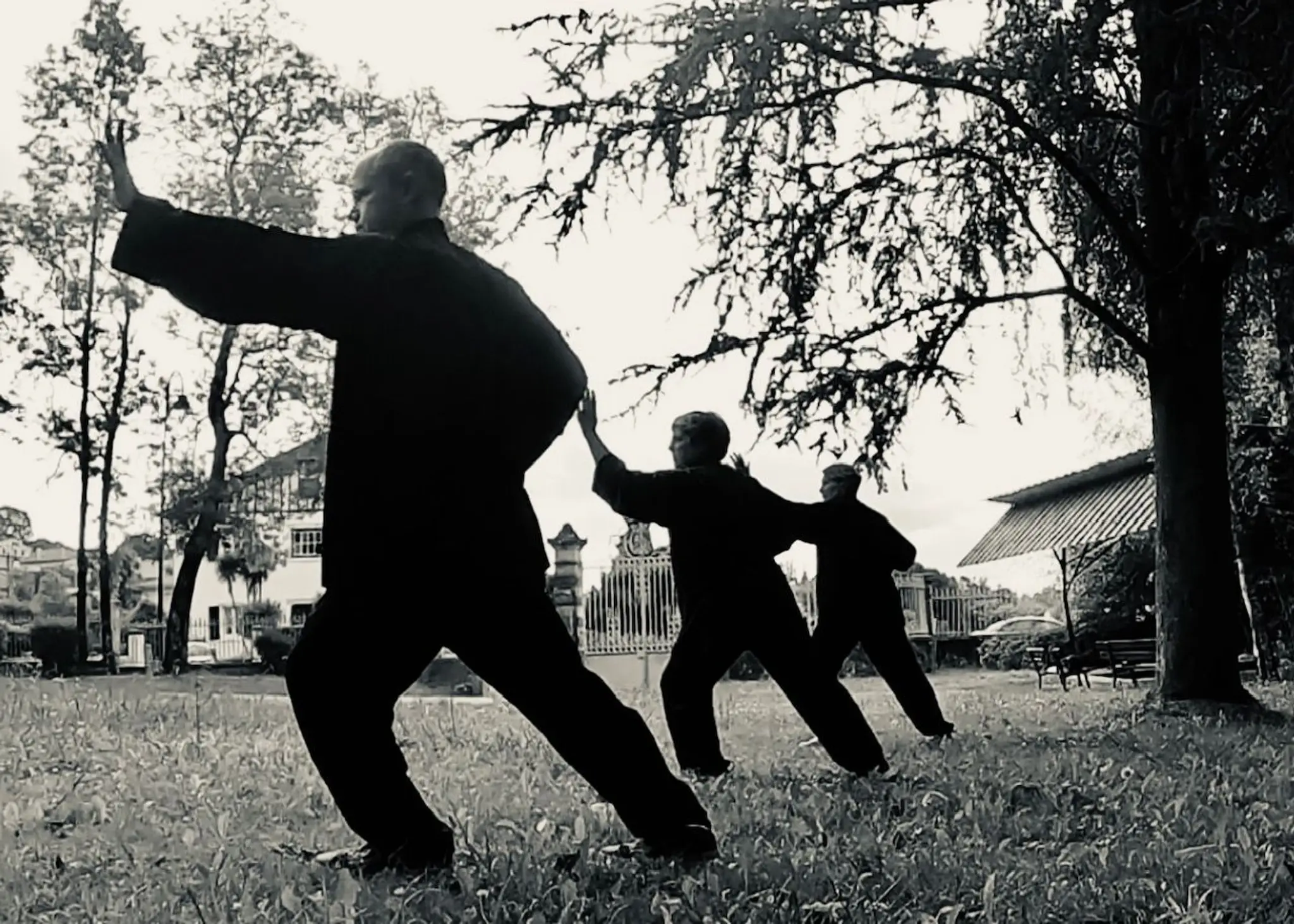 Association Le Souffle Des Bambous, Qi Gong And Tai Chi En Pays D'hasparren
