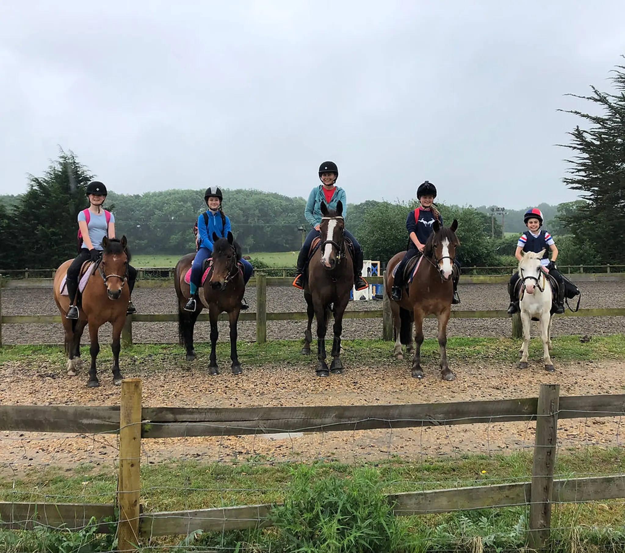 Trotters Riding School & Livery Yard