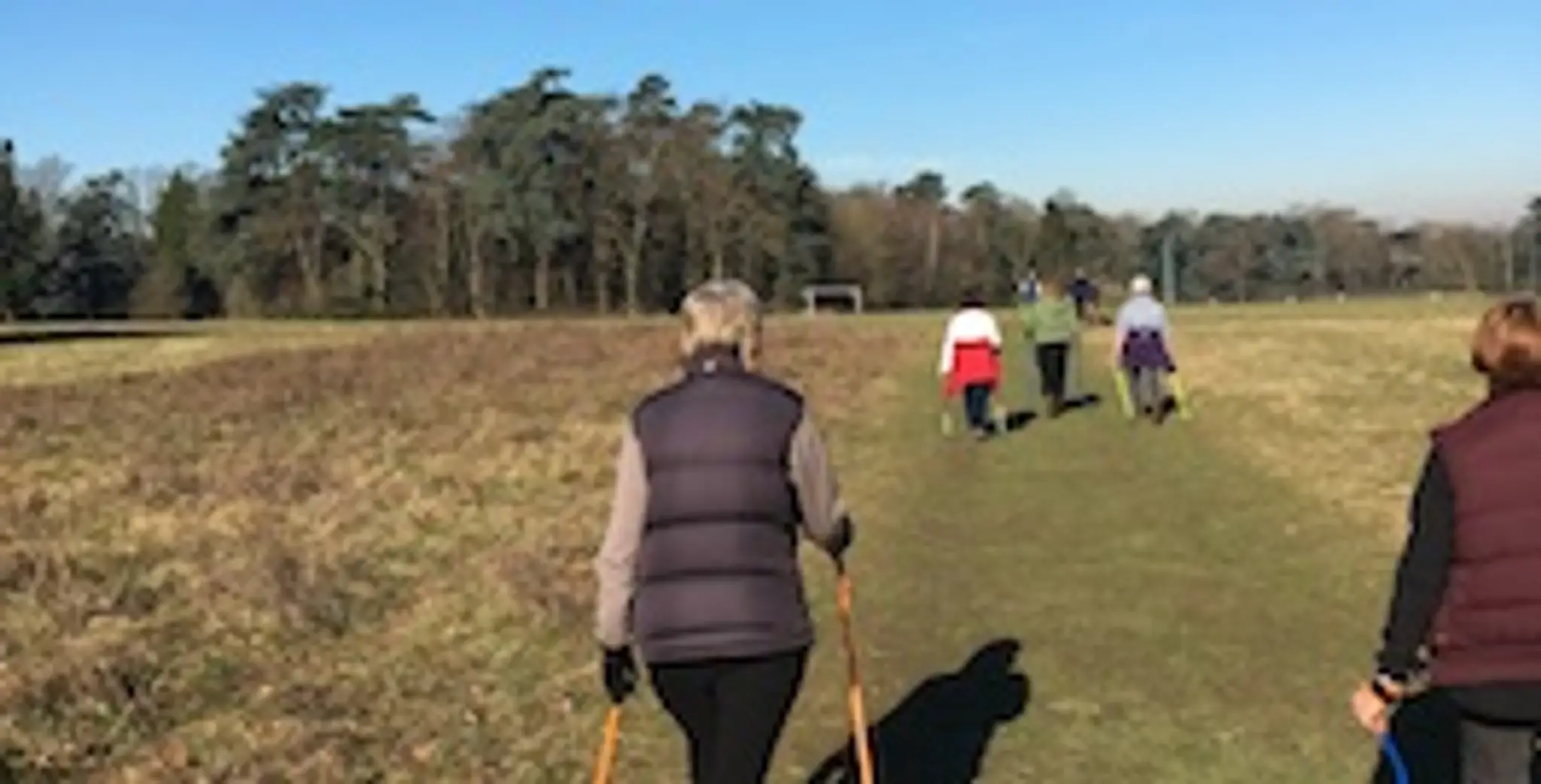 Nordic Walking East Anglia: Ickworth