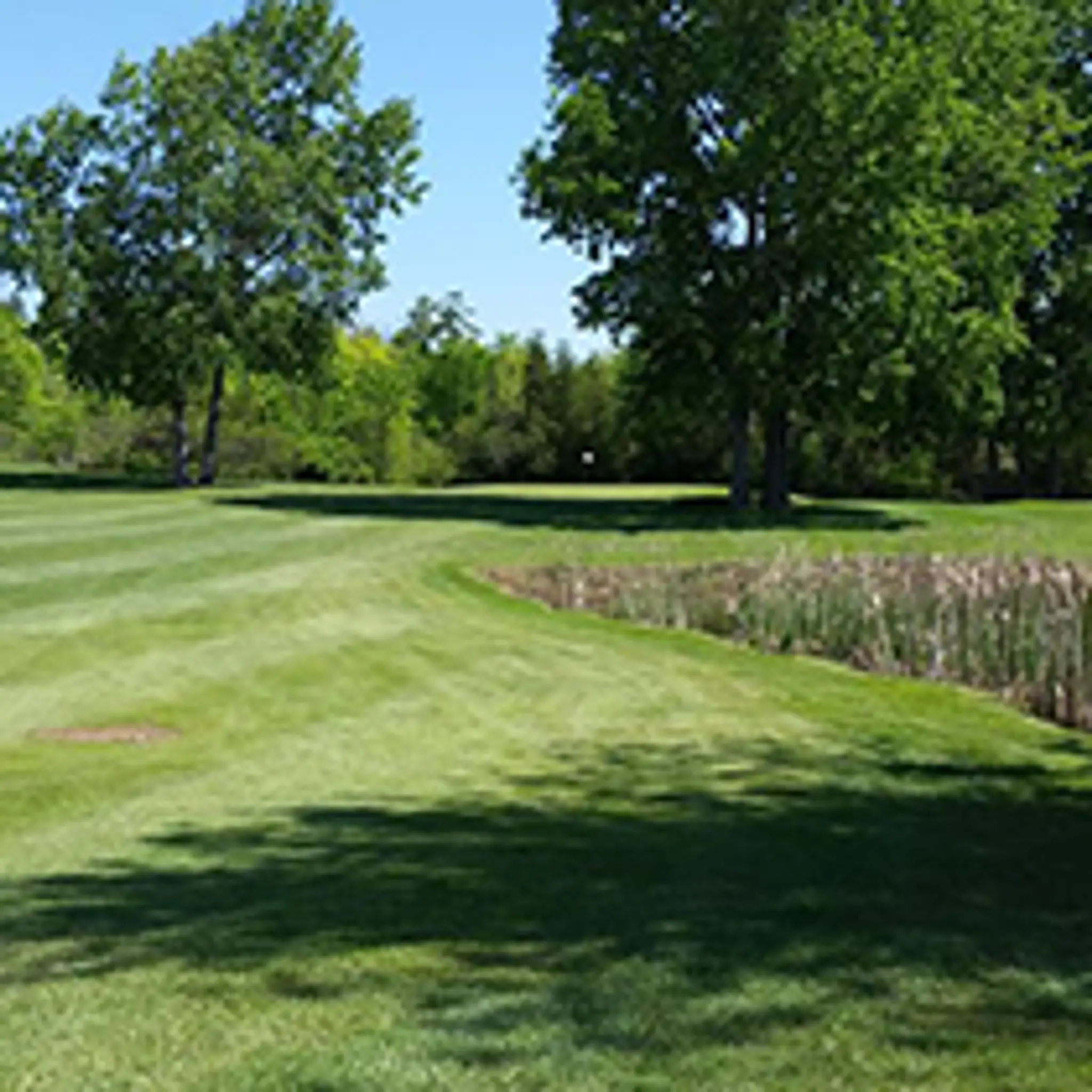 Byrnell Golf Club in Kawartha Lakes