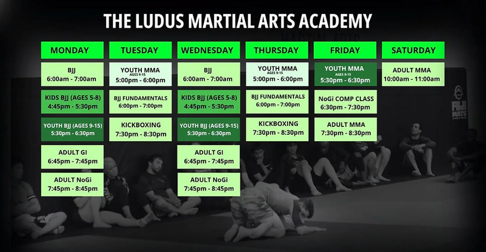 The Ludus Martial Arts Academy