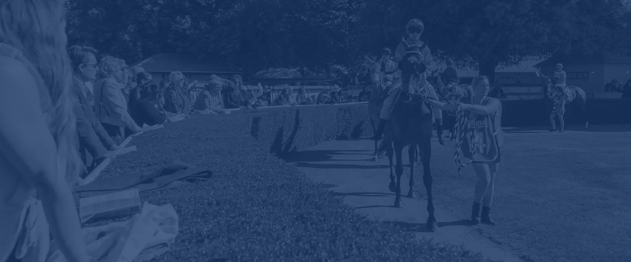 Wingatui Race Course