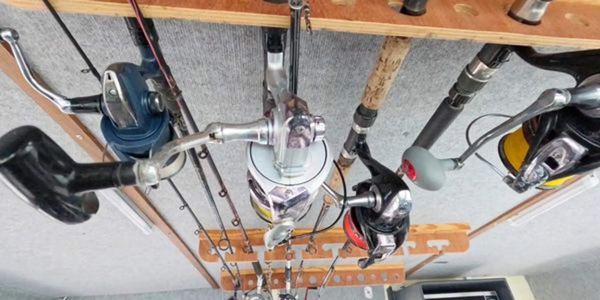 Kaimoana Charter Fishing & Sightseeing