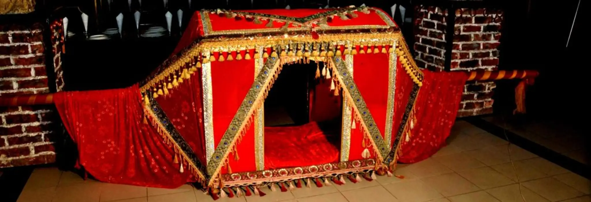 AMG - Rajasthani Dance & Folk Music Group