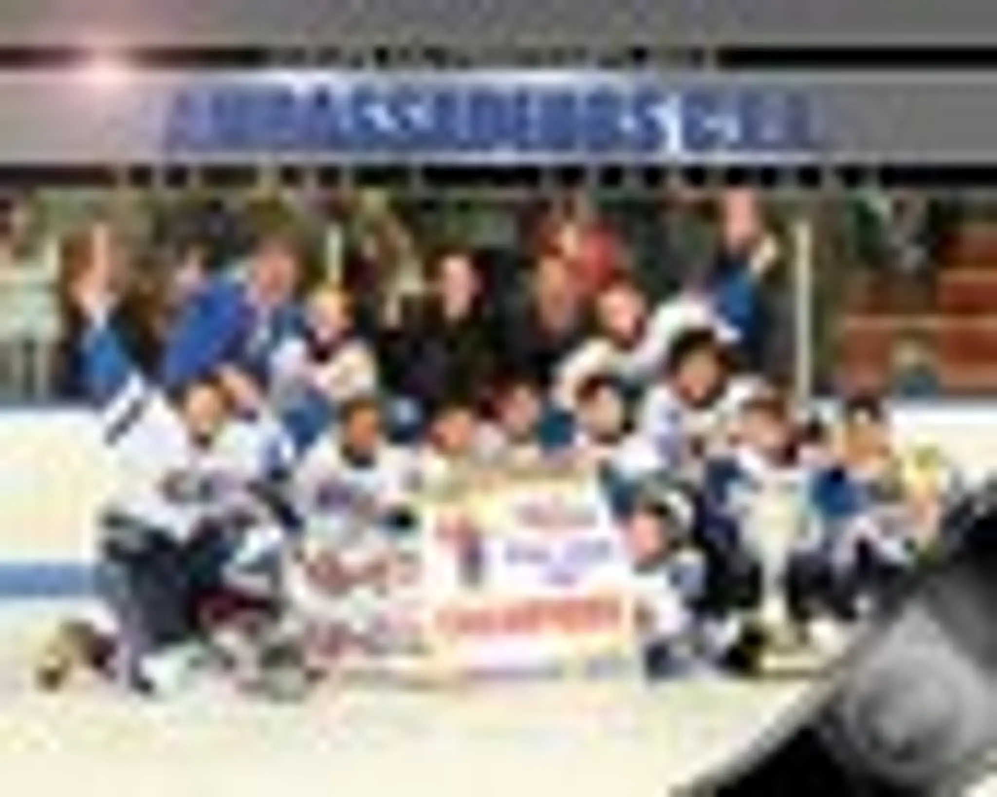 Association Hockey Mineur Lachenaie