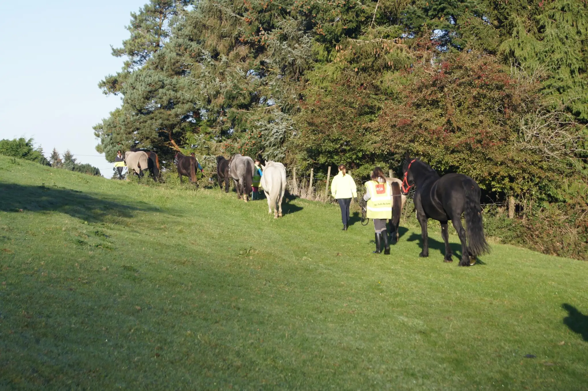 Kellystown Equestrian Centre
