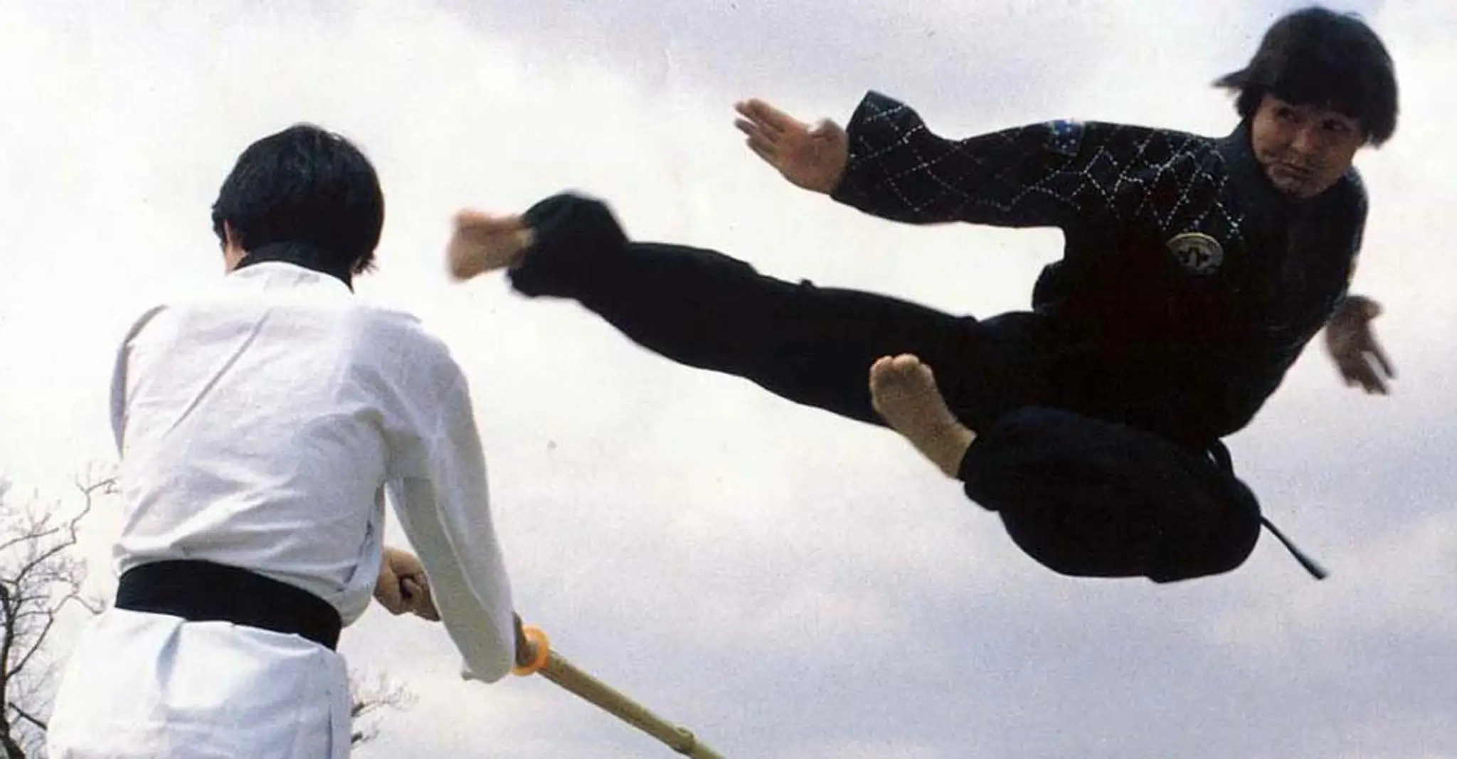 Hwarang Taekwondo Carina