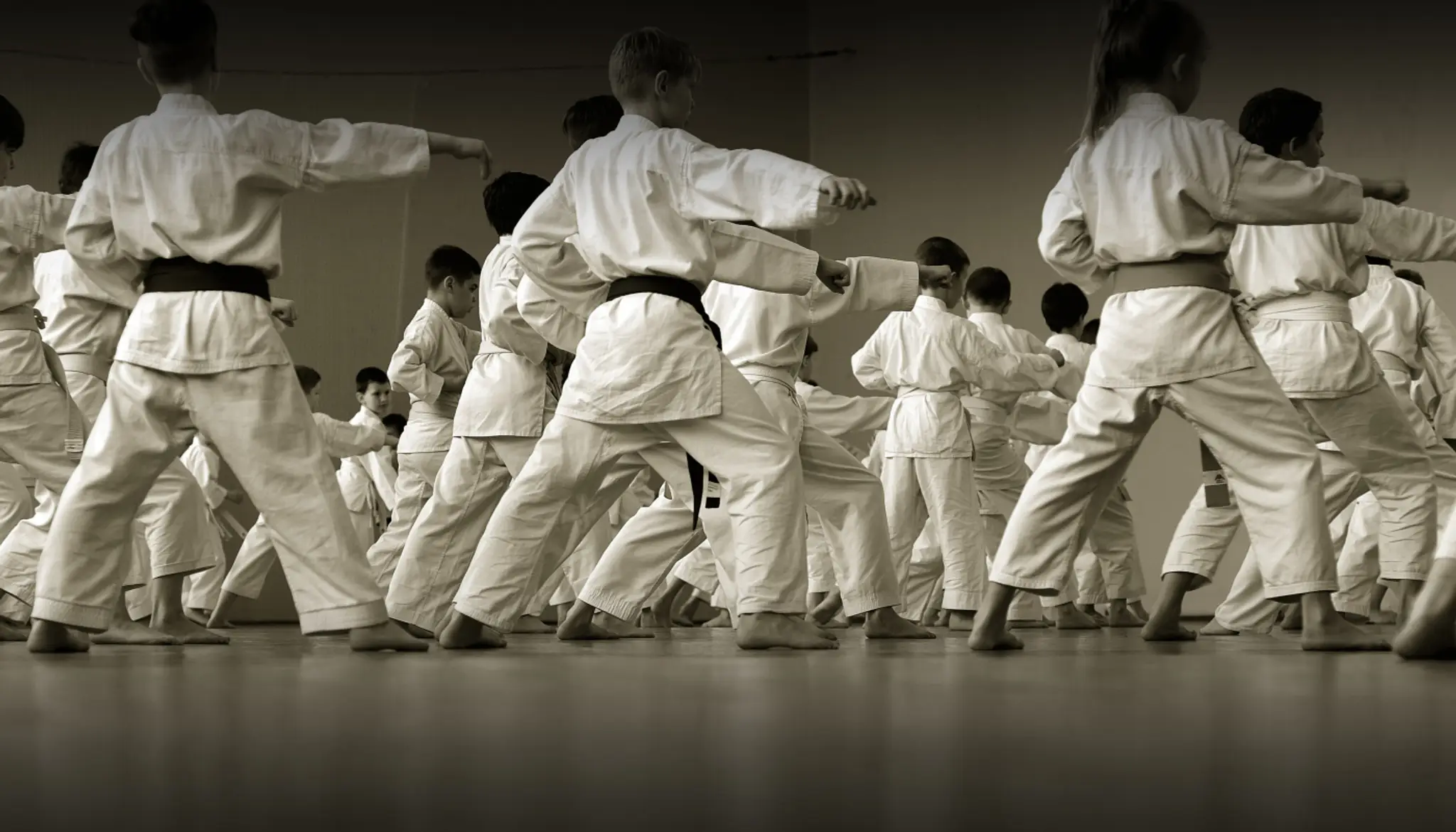 Parkstone Karate