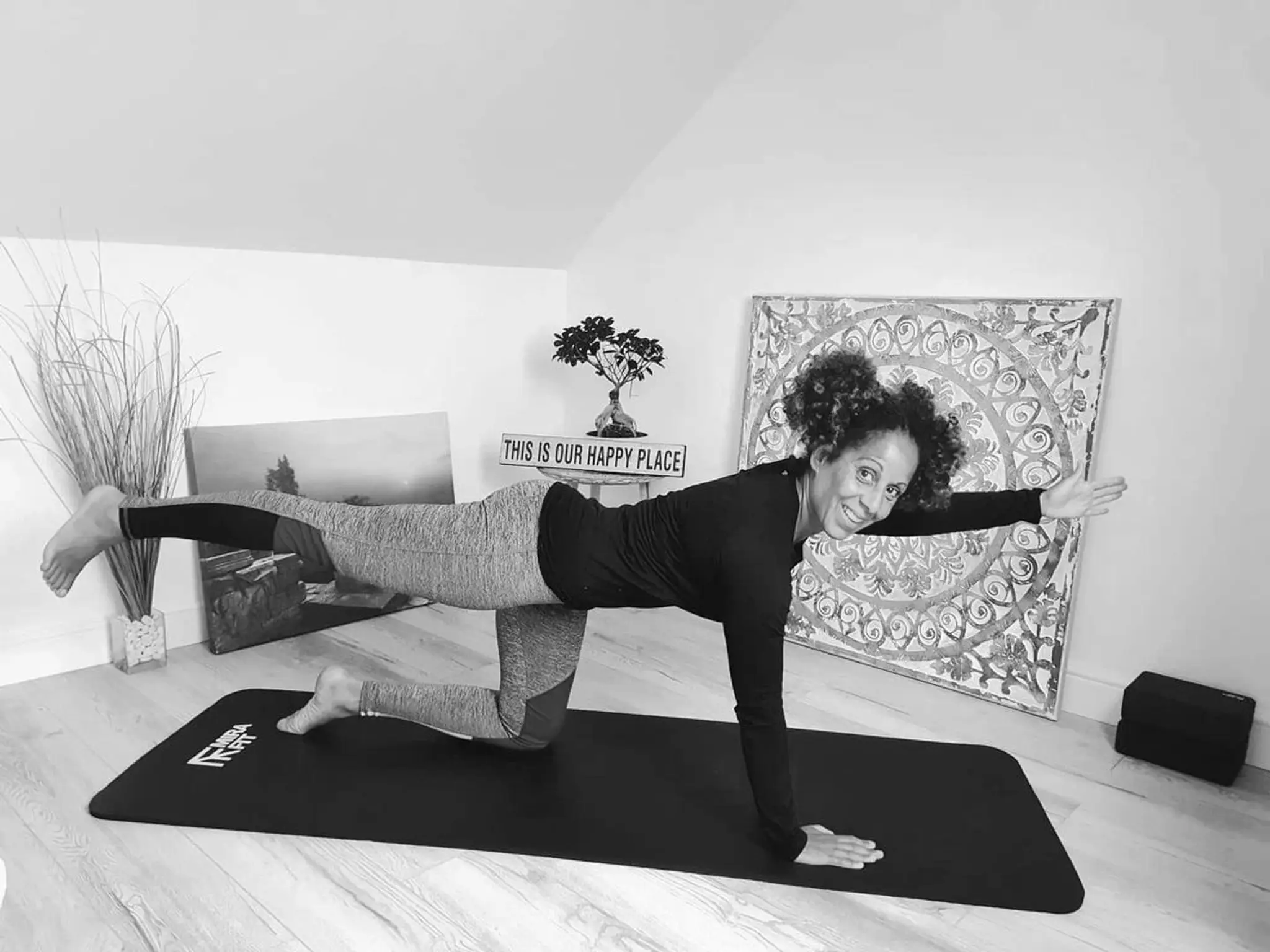 House of Equilibrium