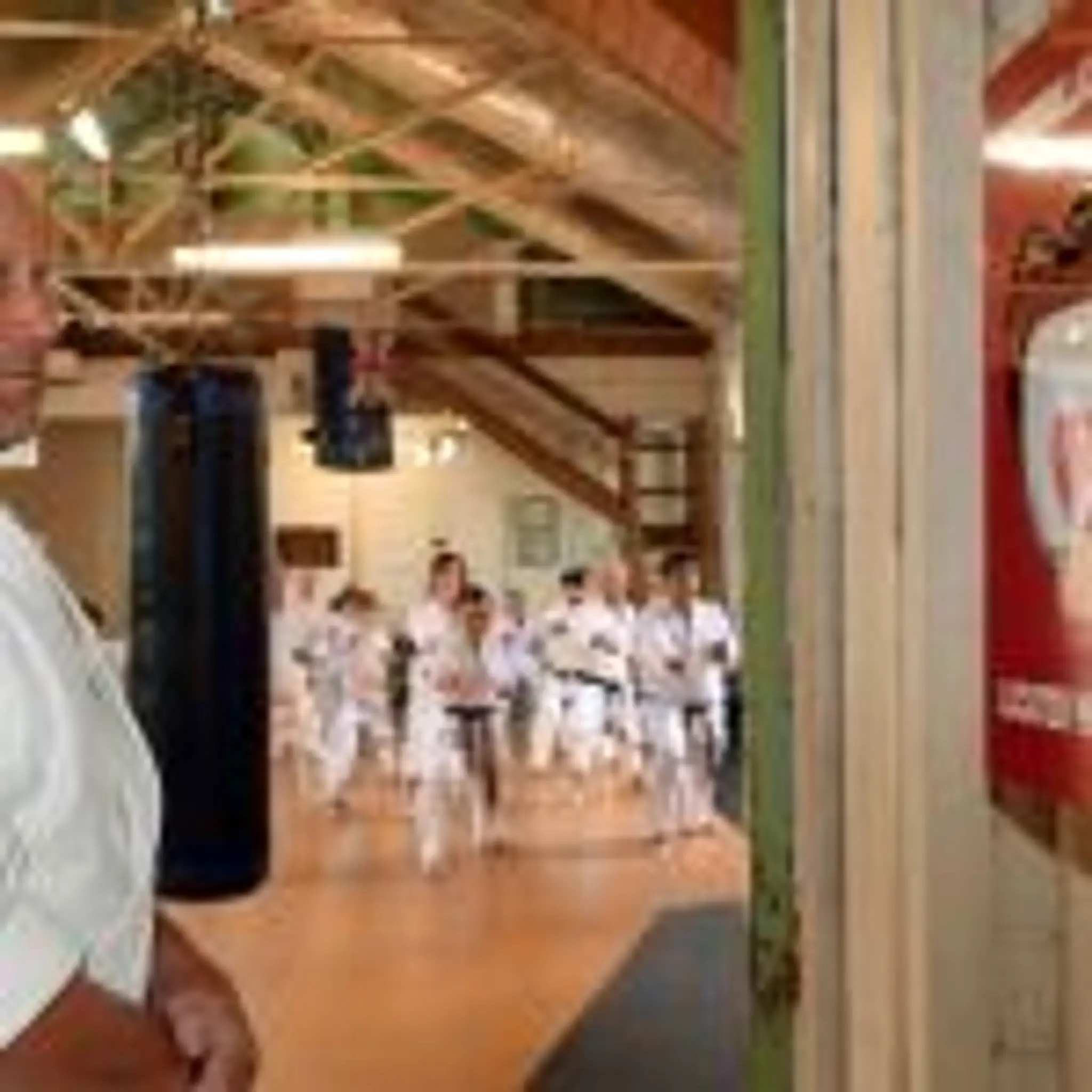 Seido Karate Dunedin Club