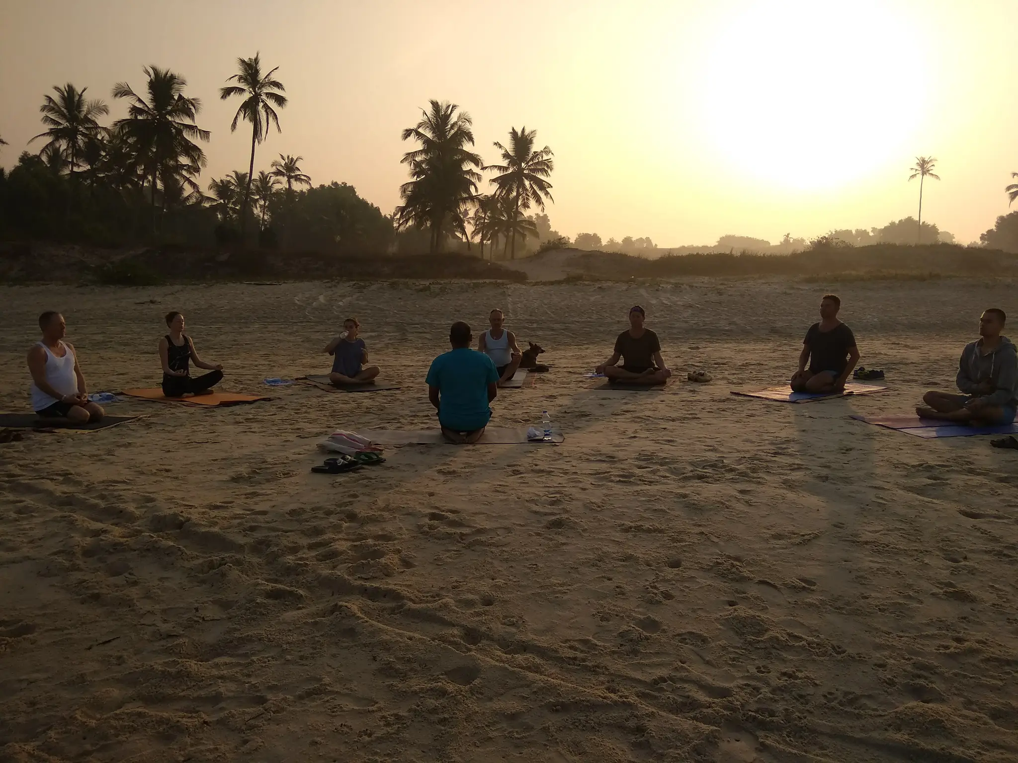 Explore Yoga