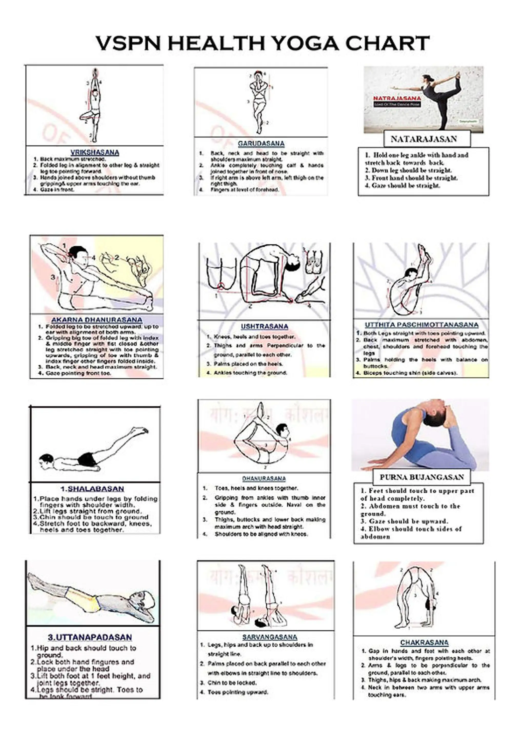 VSPN YOGA DIPLOMA COURSES