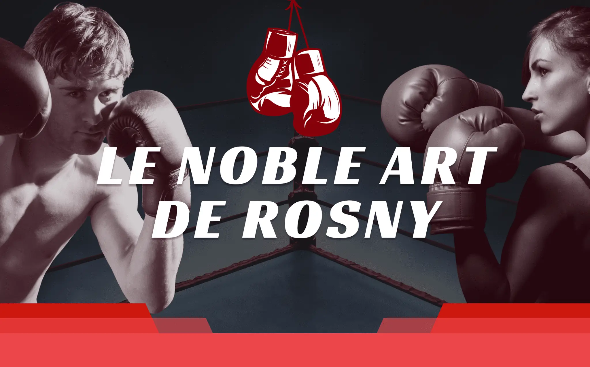 Le Noble Art de Rosny