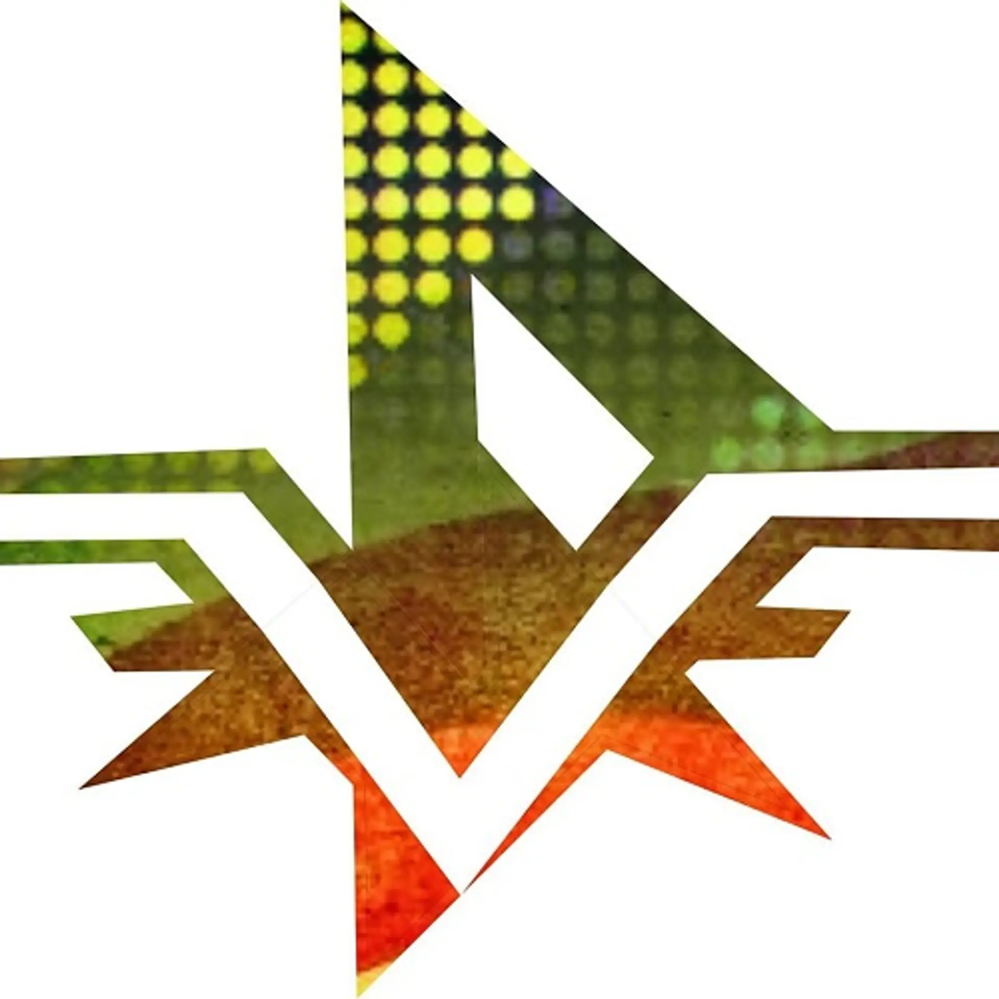 Vishal's Studio of Dance, Music & Fitness