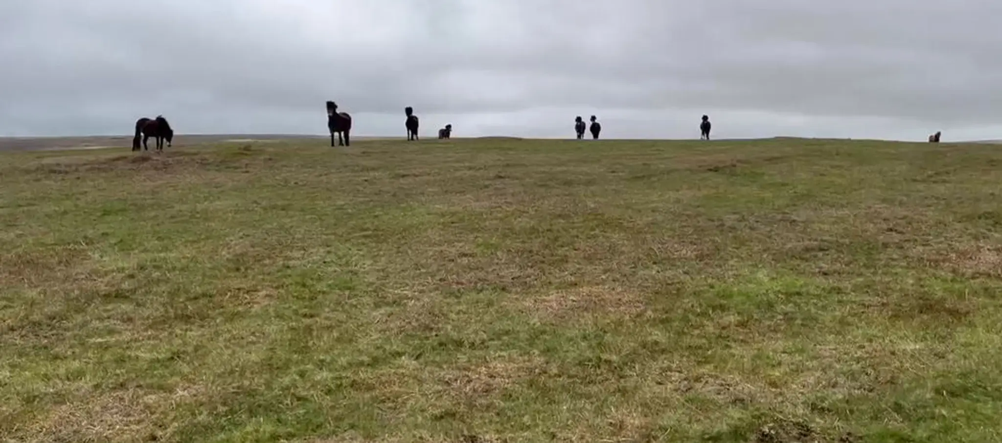 Brendon Manor Riding Stables