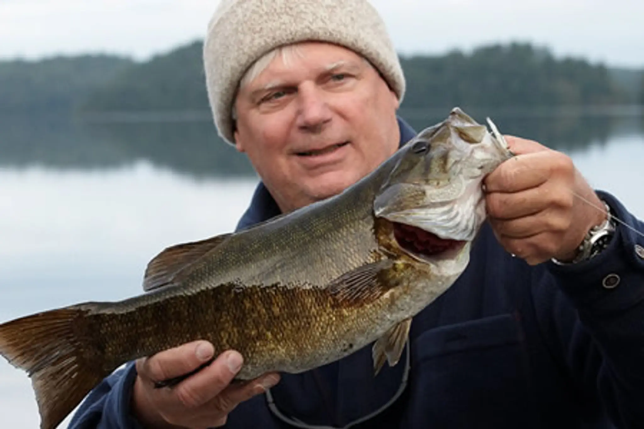 Fernleigh Lodge Resort