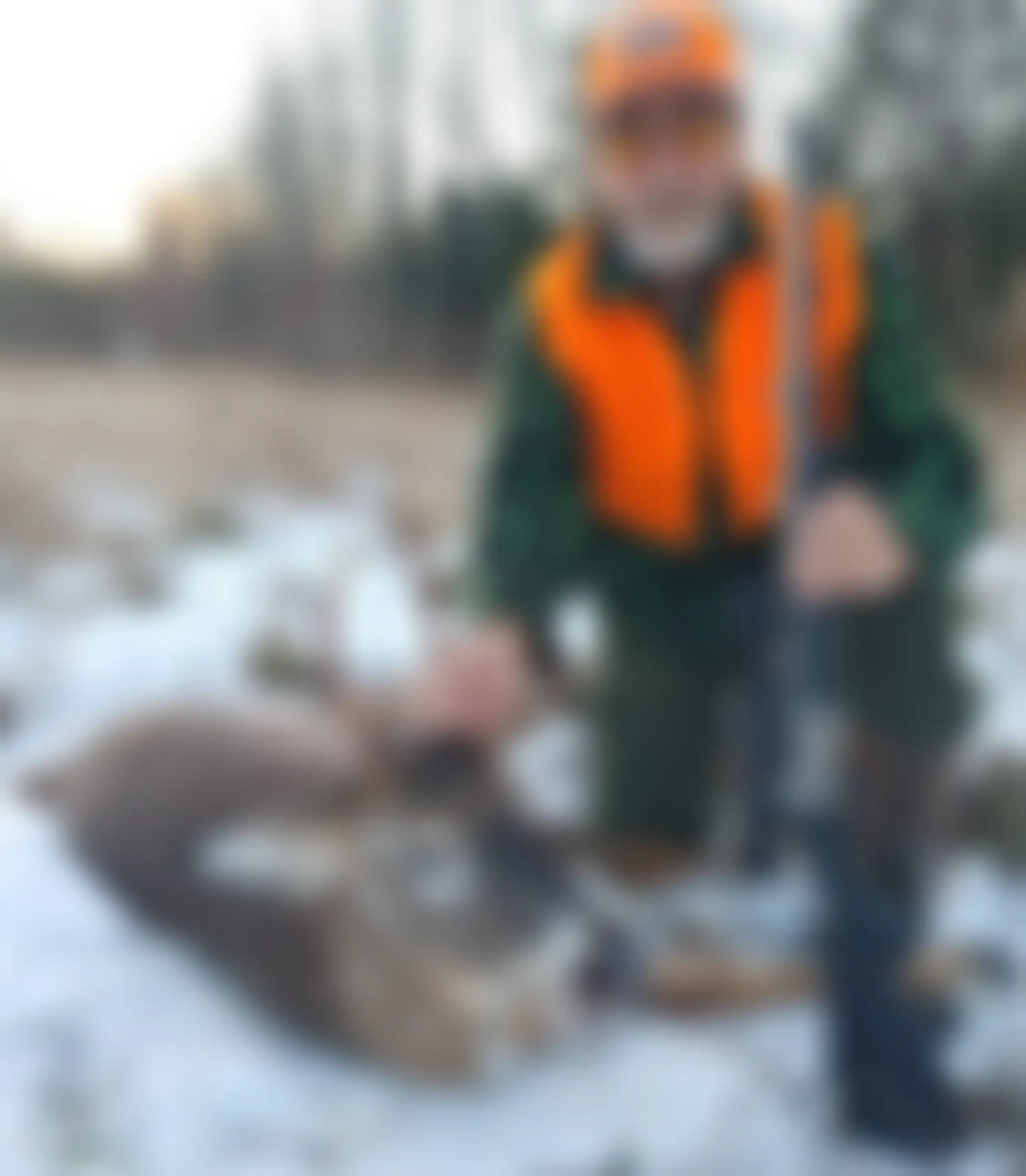 Macfarlane Sporting Camps