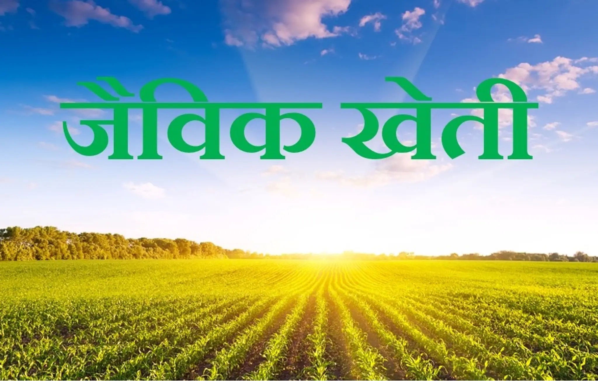 YOGA SIKSHANA NITYA FREE CAMP