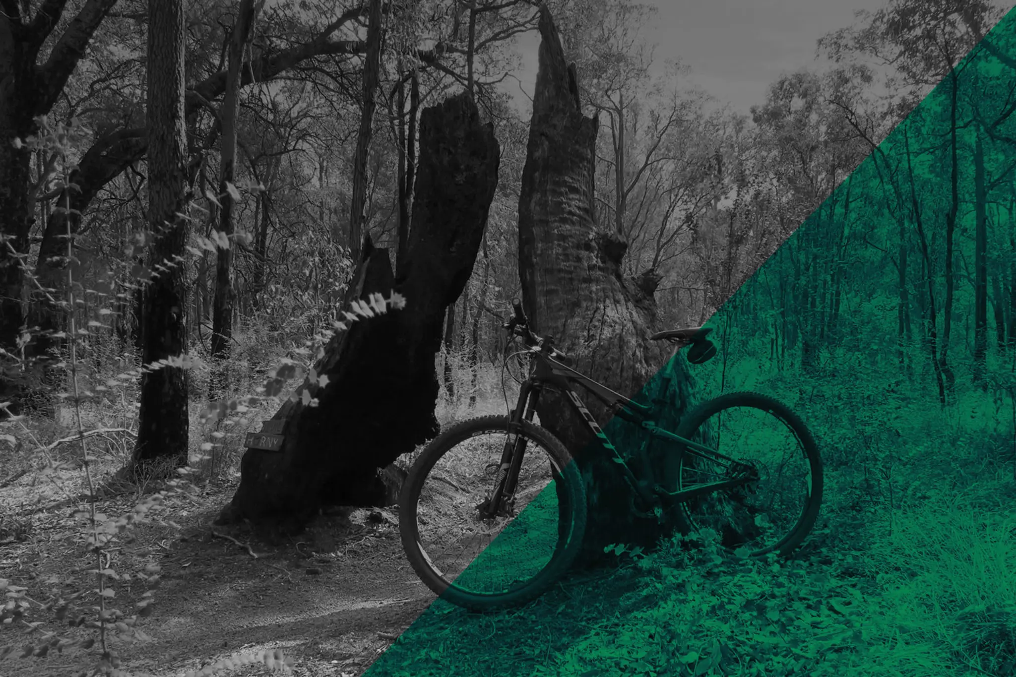 Kalamunda Mountain Bike Park