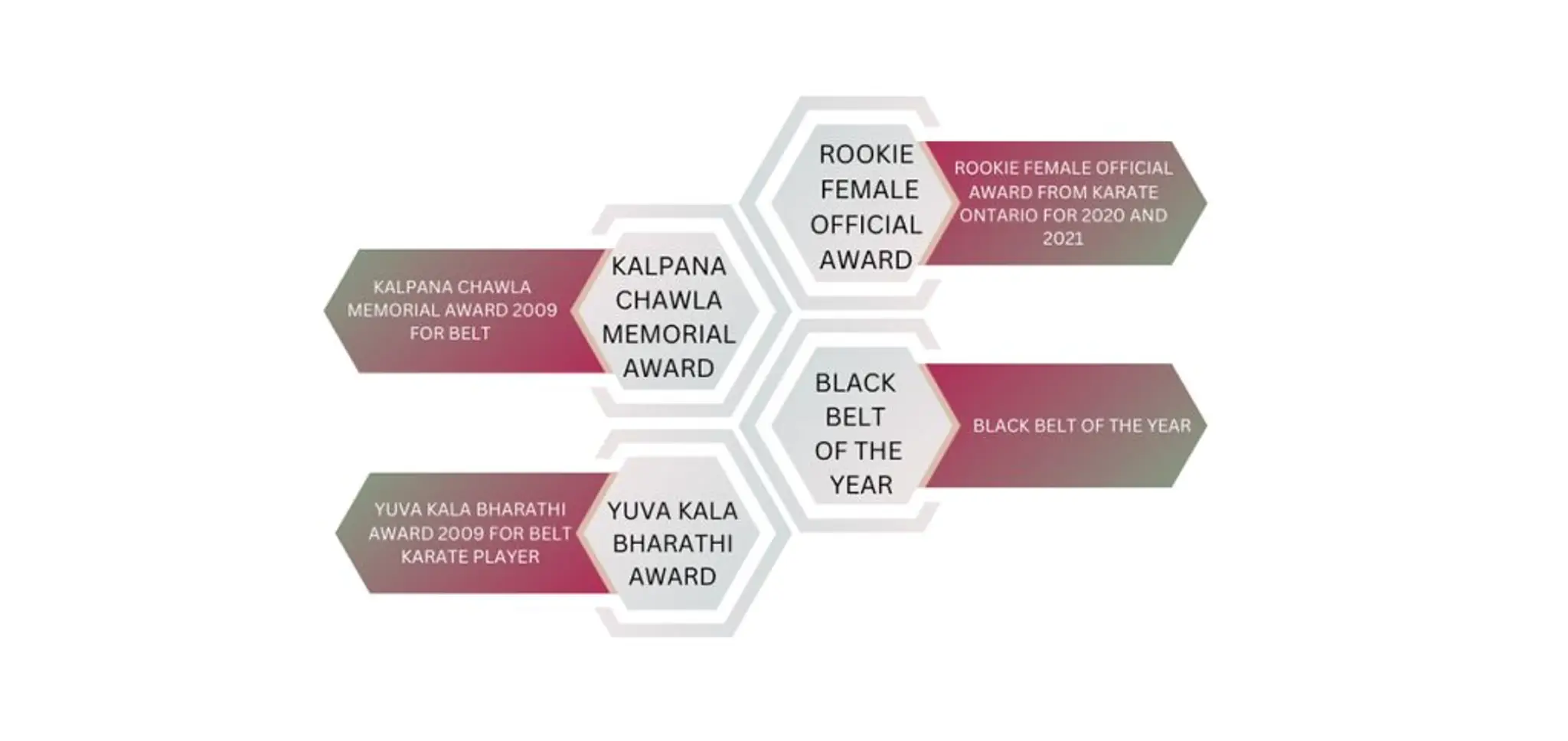 Arun Martial Arts Mississauga