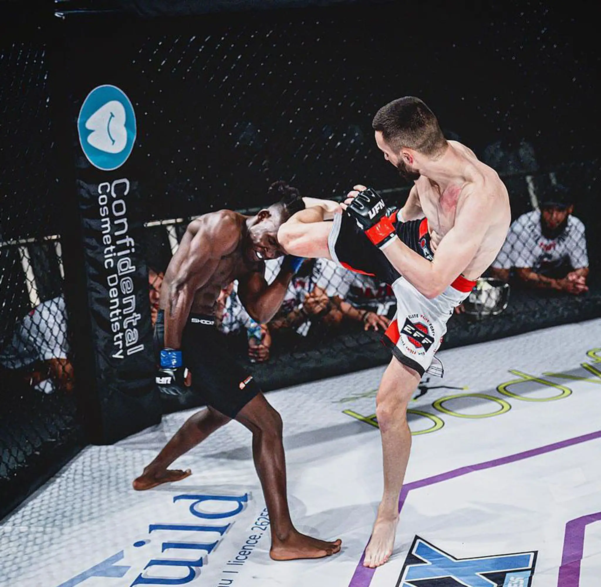 EFF - Elite Fight Force