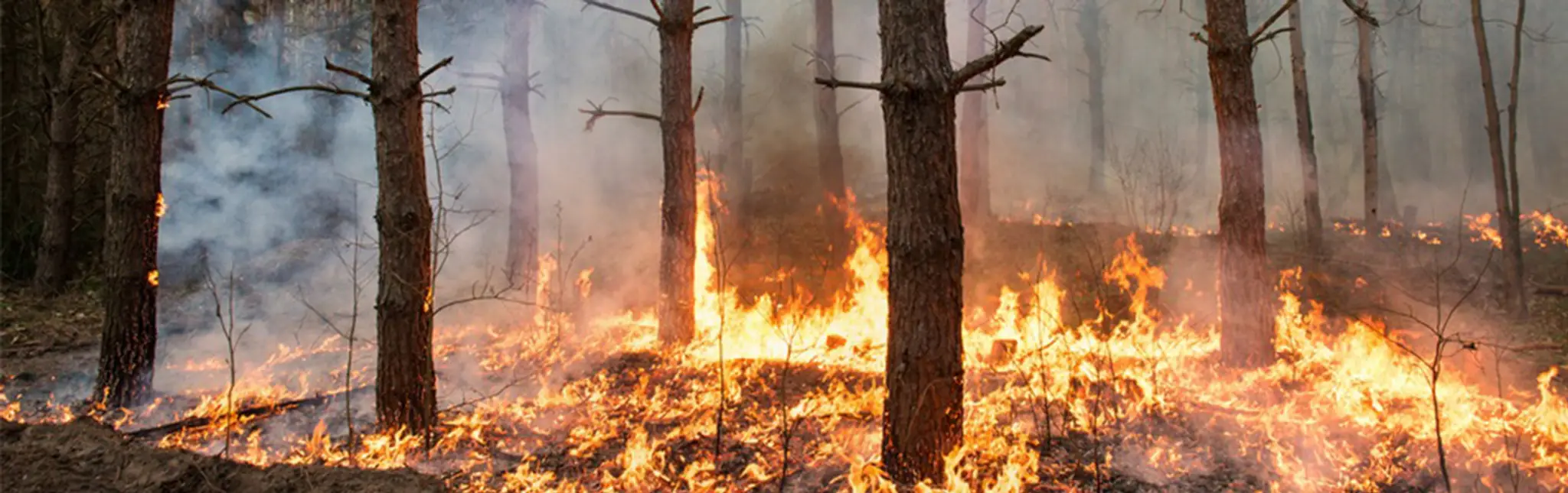 Frank Browne Reserve - Rockingham Golf Course