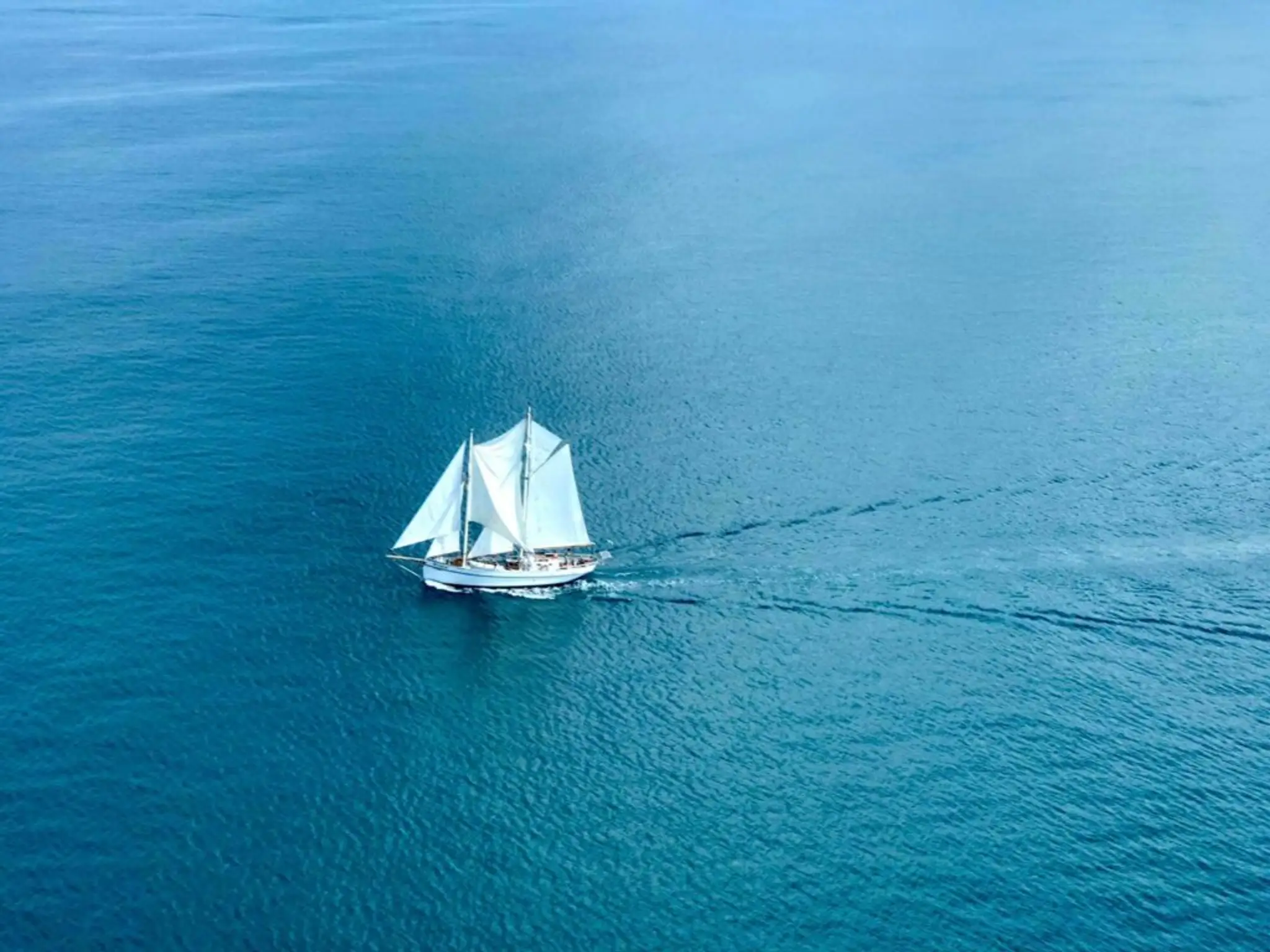 Windborne Sailing Charters