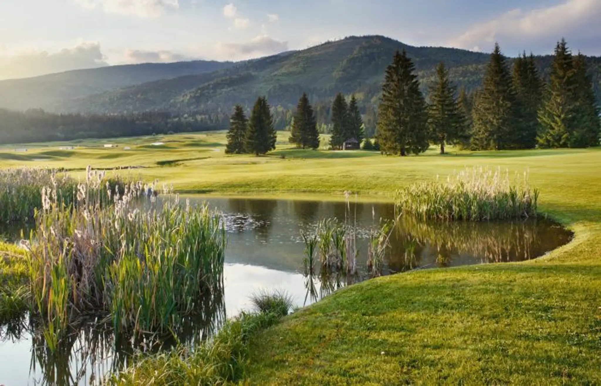 Golf course Gray Bear Tale