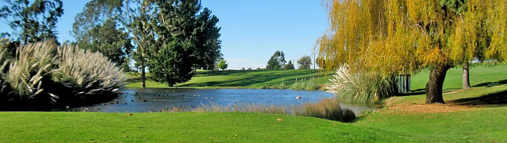 Gleniti Golf Club