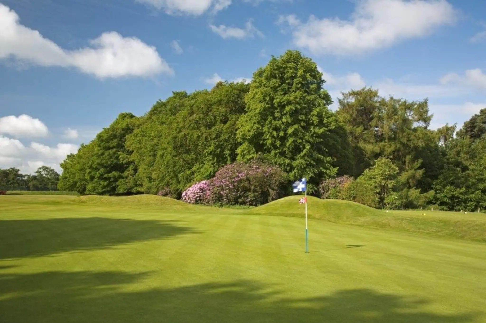 Barry Newman Golf ltd