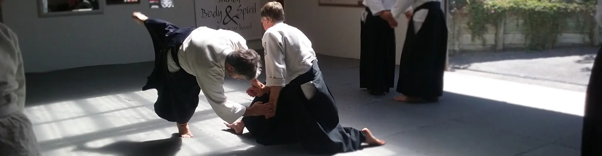 Aikido Musubi Ryu