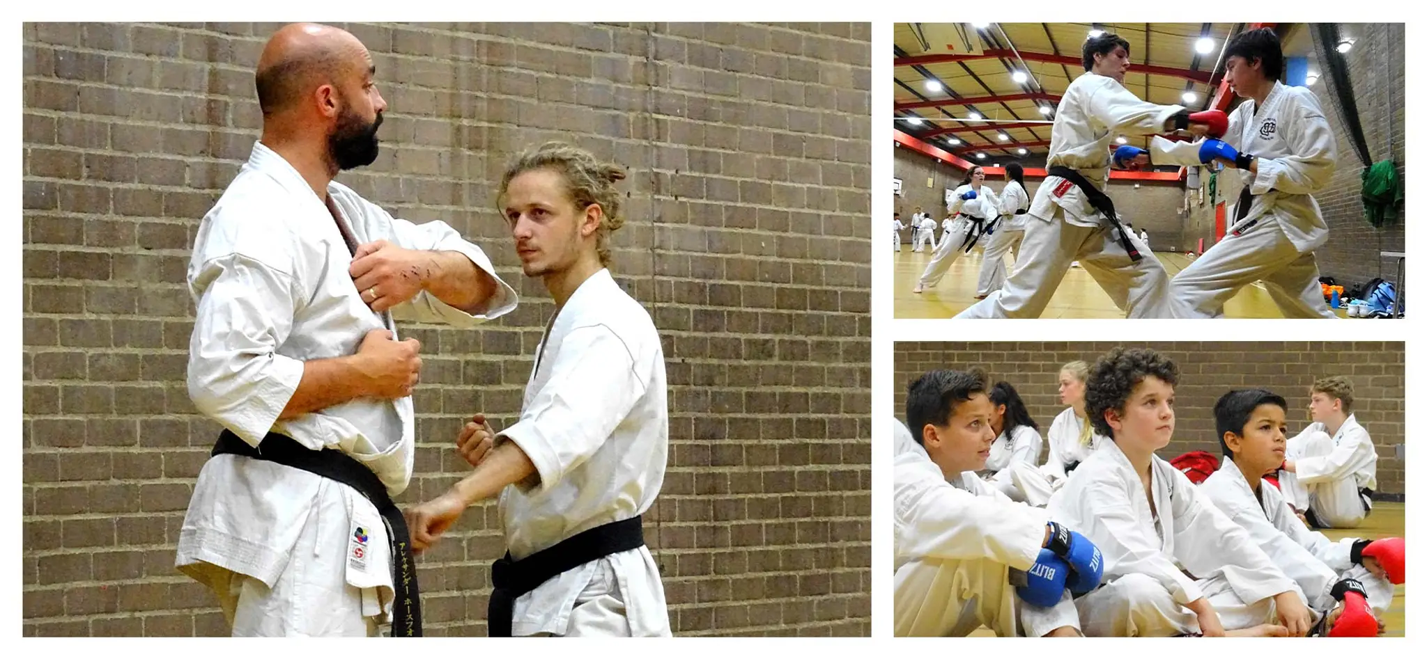 Kyo Rei Shukokai Karate - Ealing