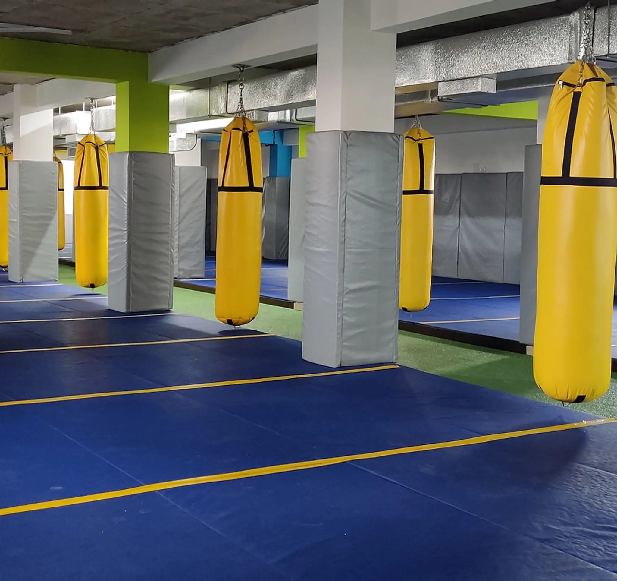 Rebel Jiu Jitsu & MMA