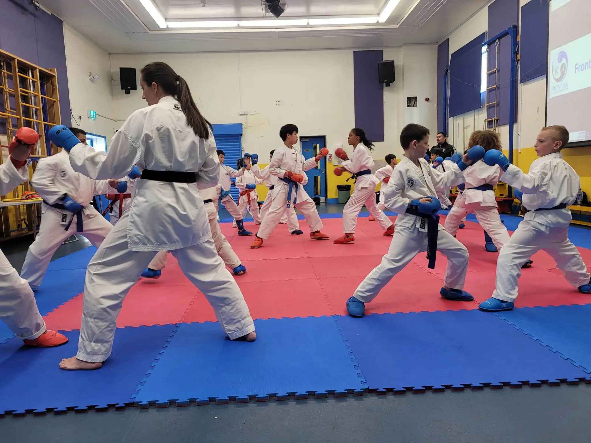 Forza Karate Club - Upminster