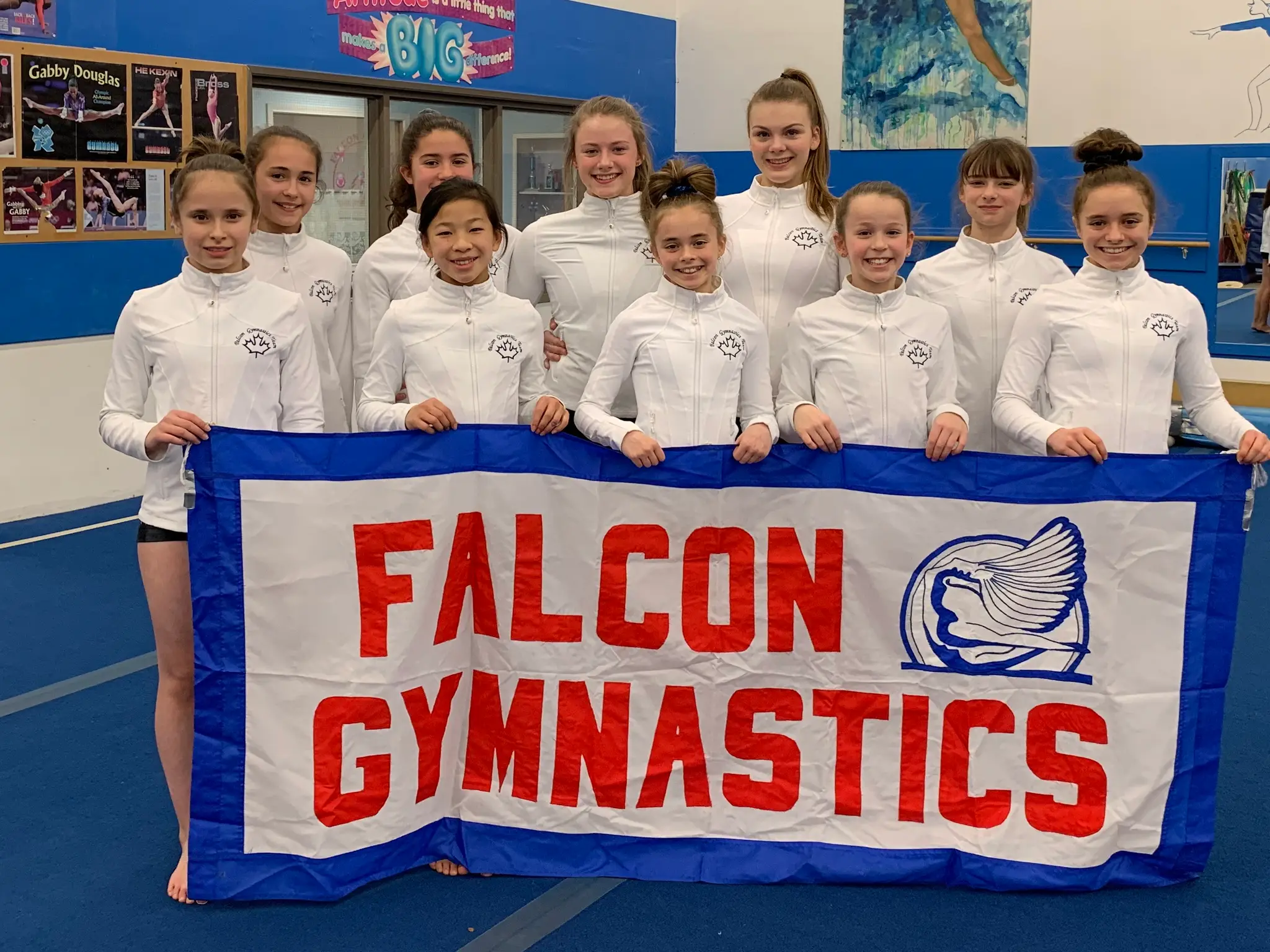 Falcon Gymnastics