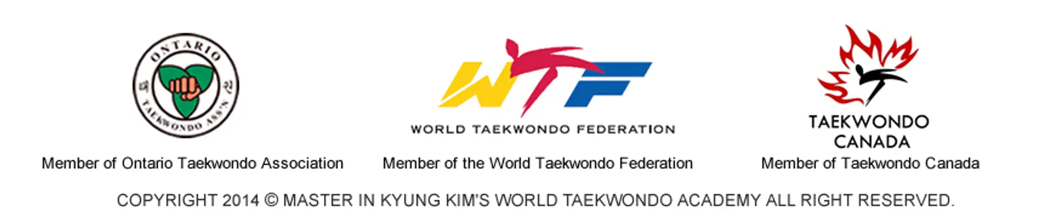Master In Kyung Kim's World Taekwondo Academy