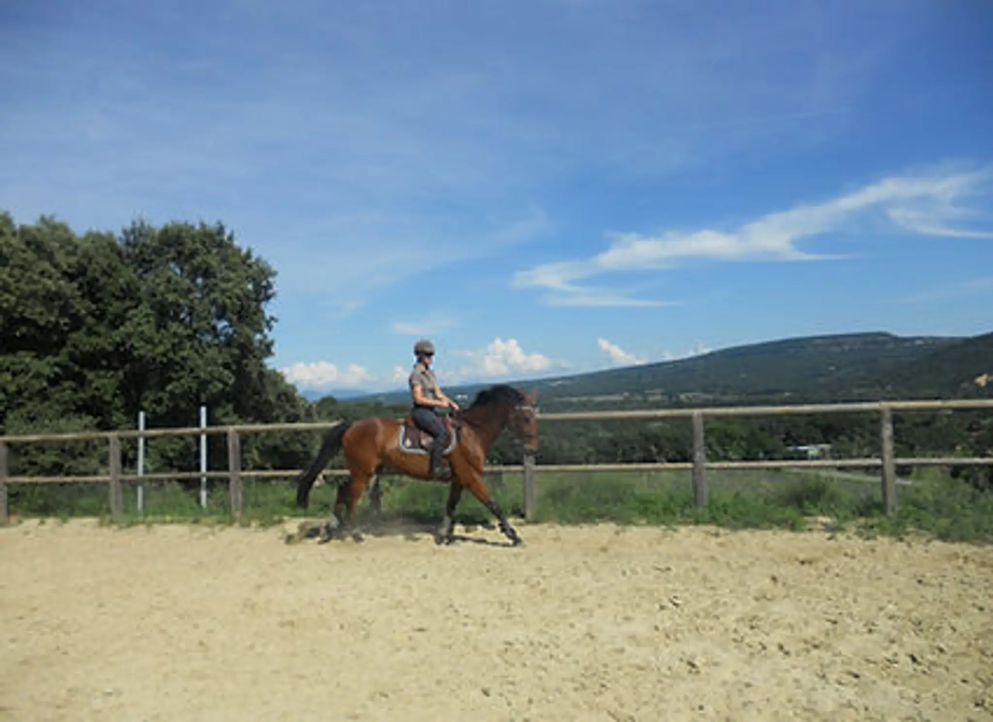 Equestrian Center Lagdy