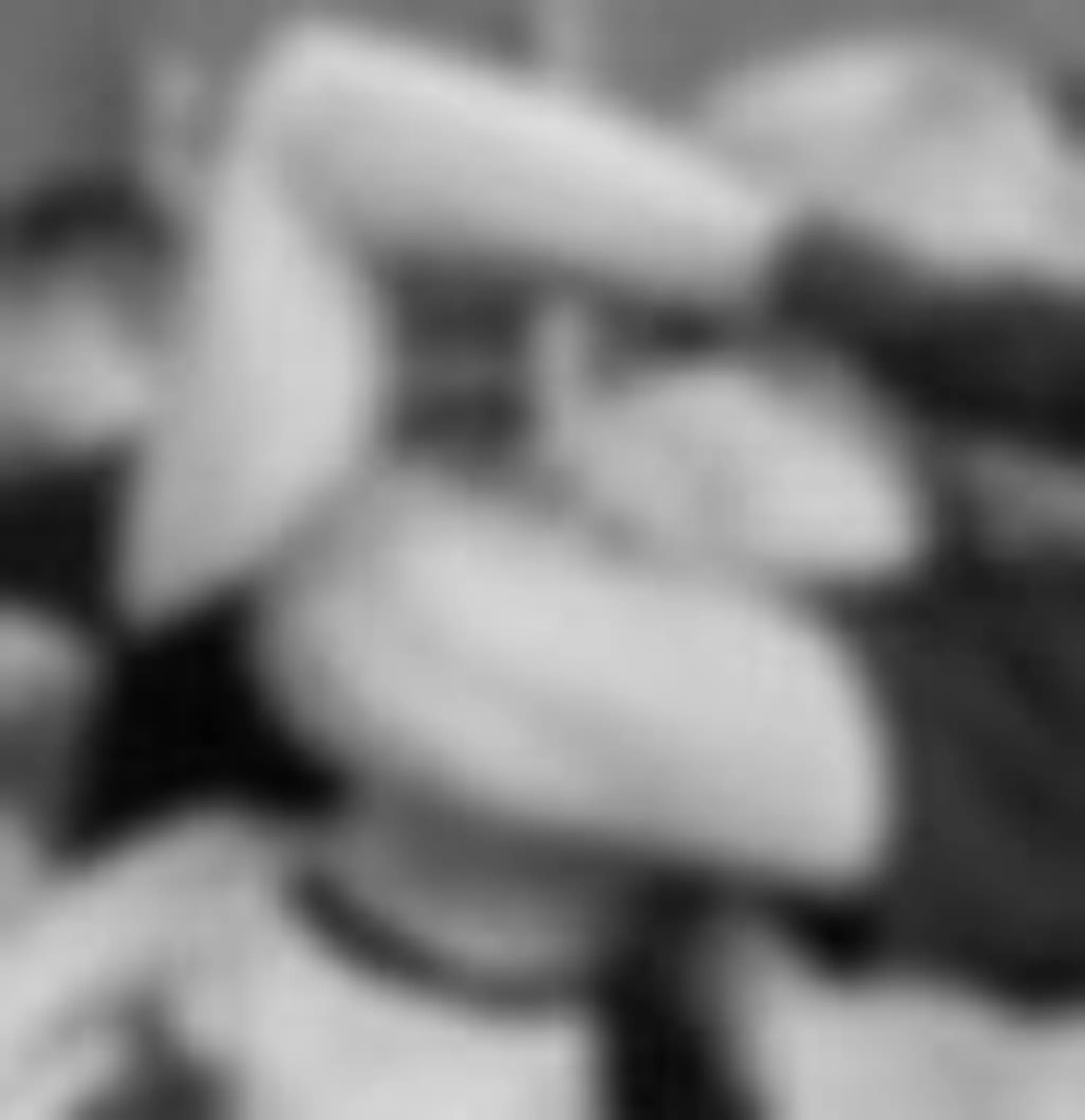 Self Defense Bourges "Sarc"