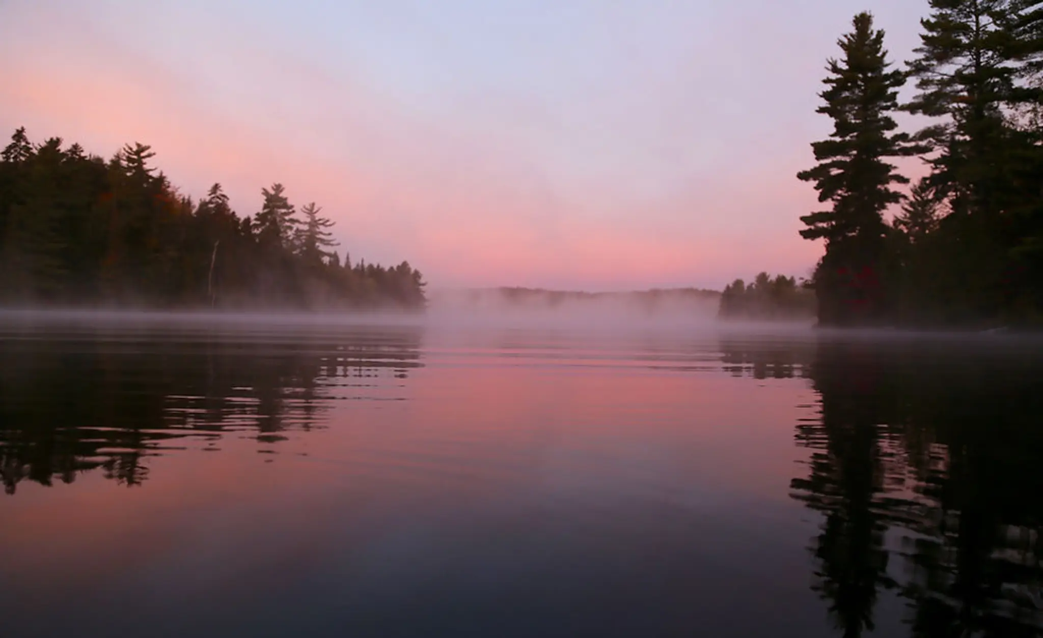 Ferme Forestire Winchester